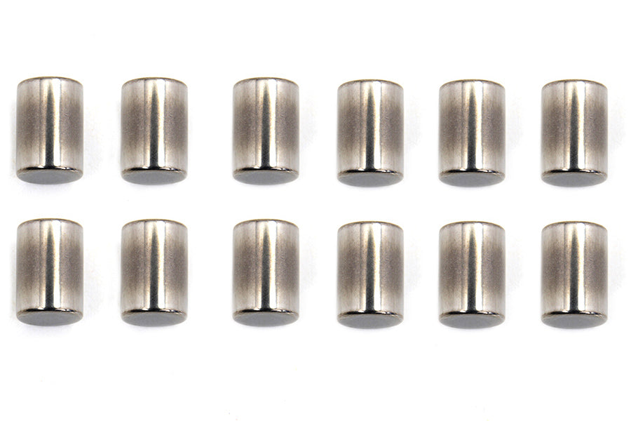 Standard Engine Case Roller Bearings Left Side