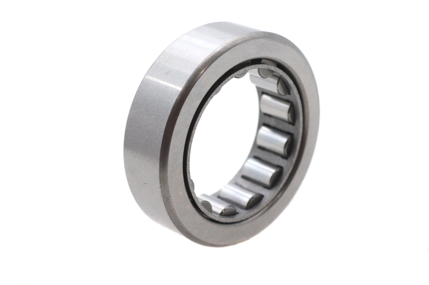 Big Twin Primary Housing Bearing