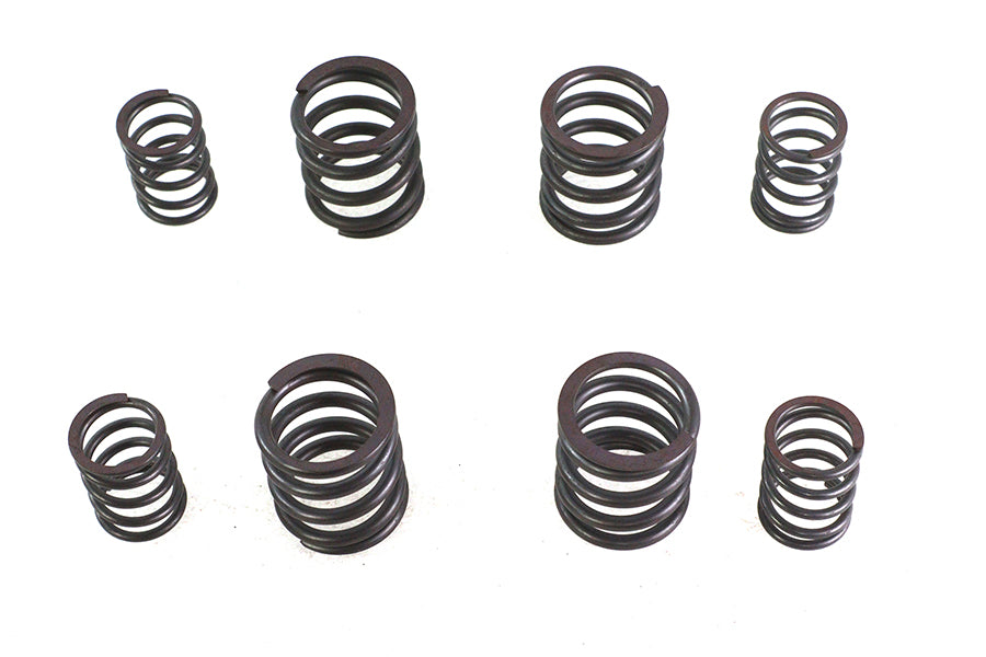 Valve Spring Set