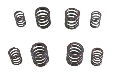Valve Spring Set