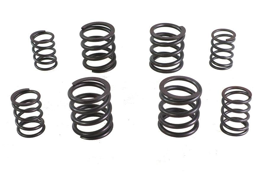 Valve Spring Set