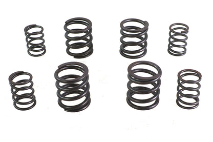 Valve Spring Set
