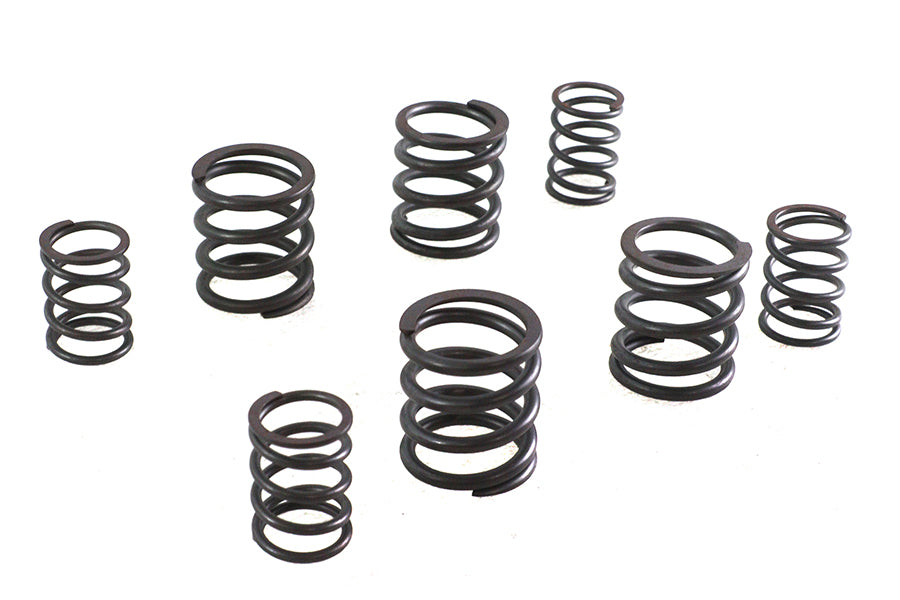 Valve Spring Set
