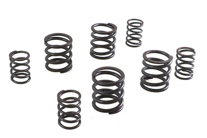 Valve Spring Set
