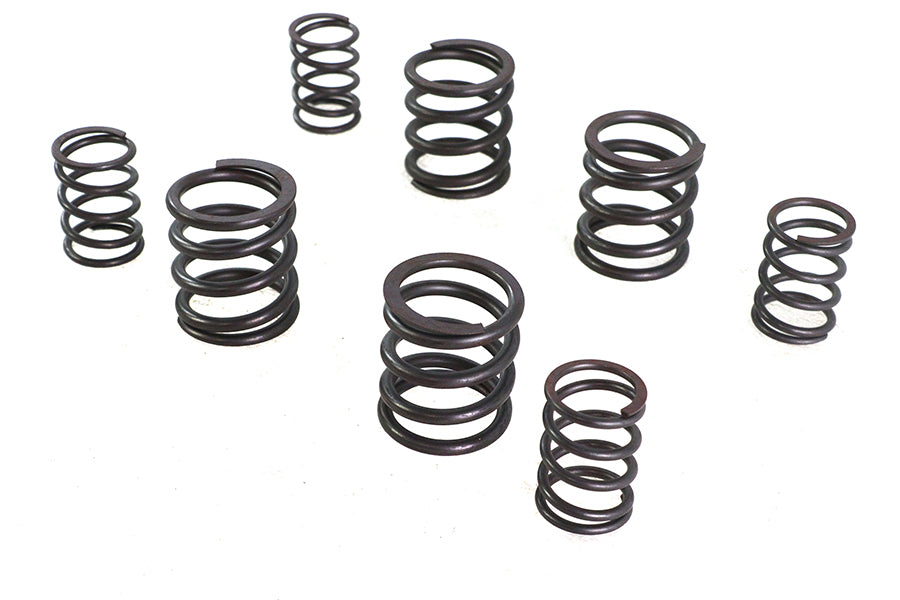 Valve Spring Set