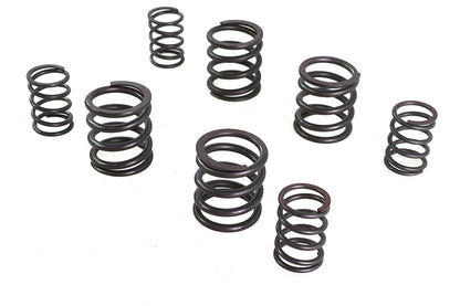 Valve Spring Set