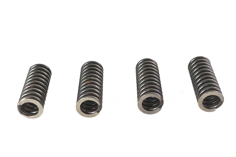 Valve Spring Set