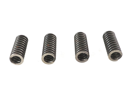 Valve Spring Set