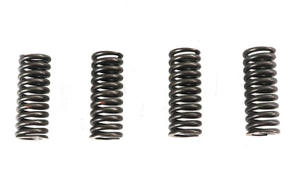 Valve Spring Set