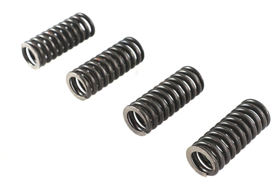 Valve Spring Set