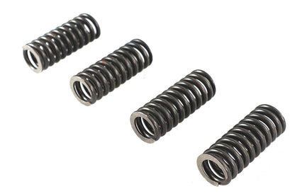 Valve Spring Set