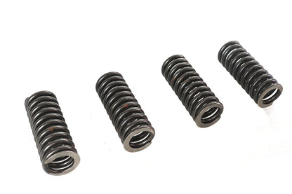 Valve Spring Set