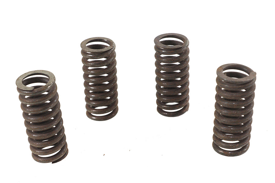 Valve Spring Set