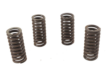 Valve Spring Set