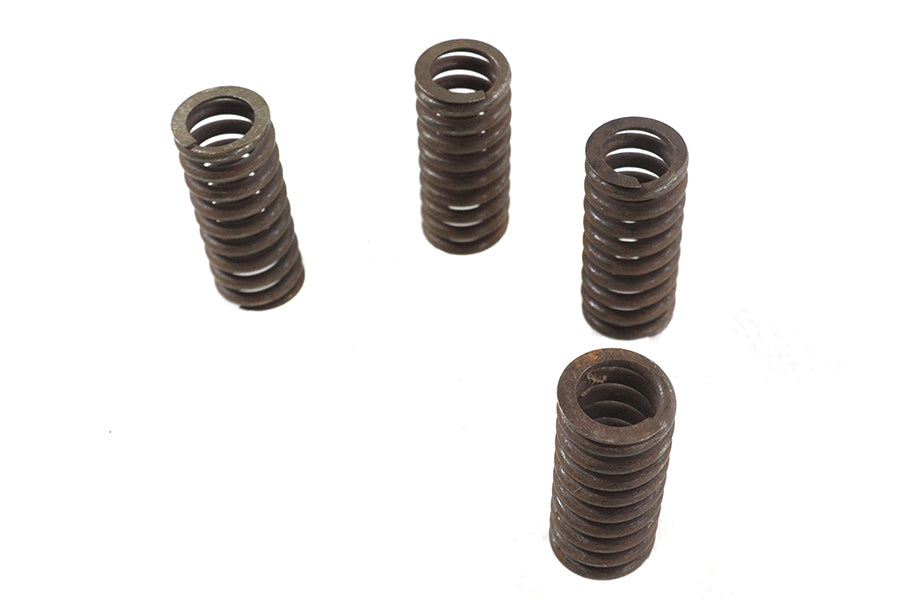 Valve Spring Set