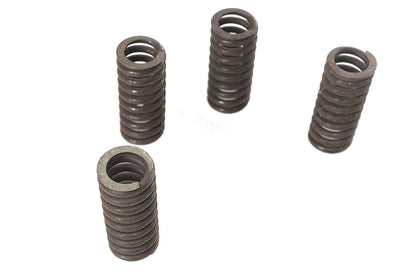 Valve Spring Set
