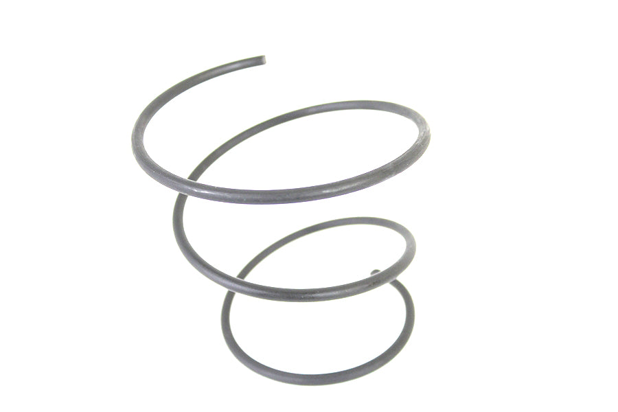 Air Cleaner Spring Parkerized