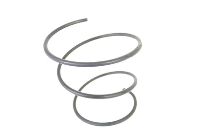 Air Cleaner Spring Parkerized
