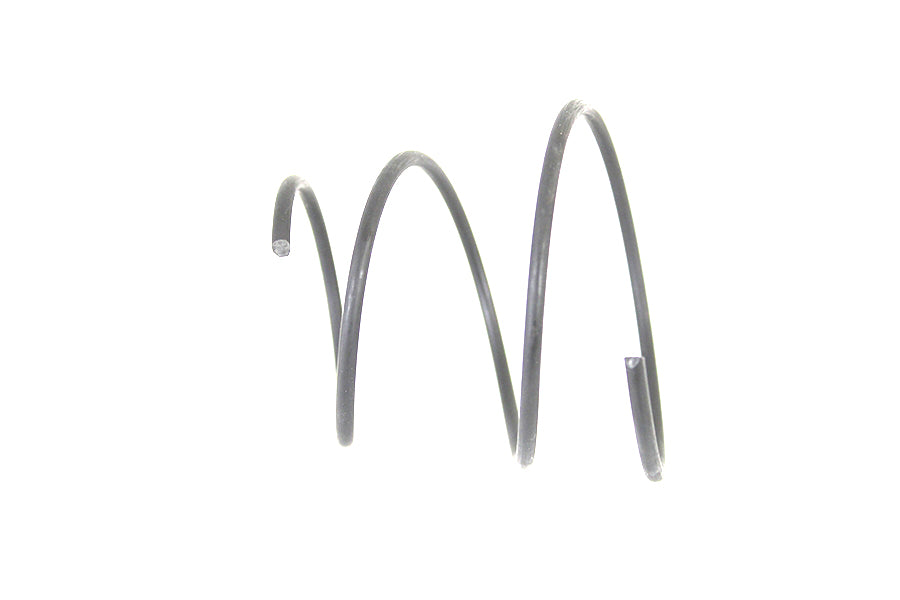 Air Cleaner Spring Parkerized