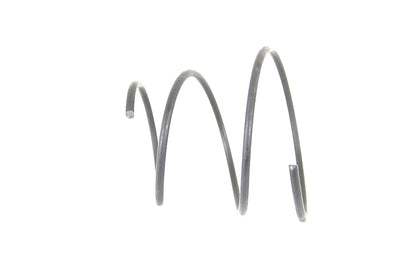 Air Cleaner Spring Parkerized