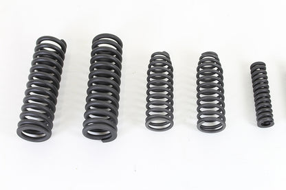 VL Sring Fork Spring Set Parkerized