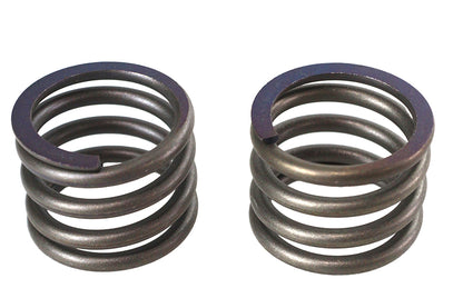 41mm Fork Lower Damper Tube Spring Set