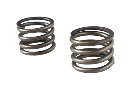 41mm Fork Lower Damper Tube Spring Set