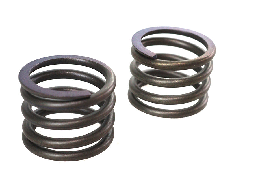 41mm Fork Lower Damper Tube Spring Set