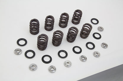 M8 Valve Spring Kit with Titanium Retainers