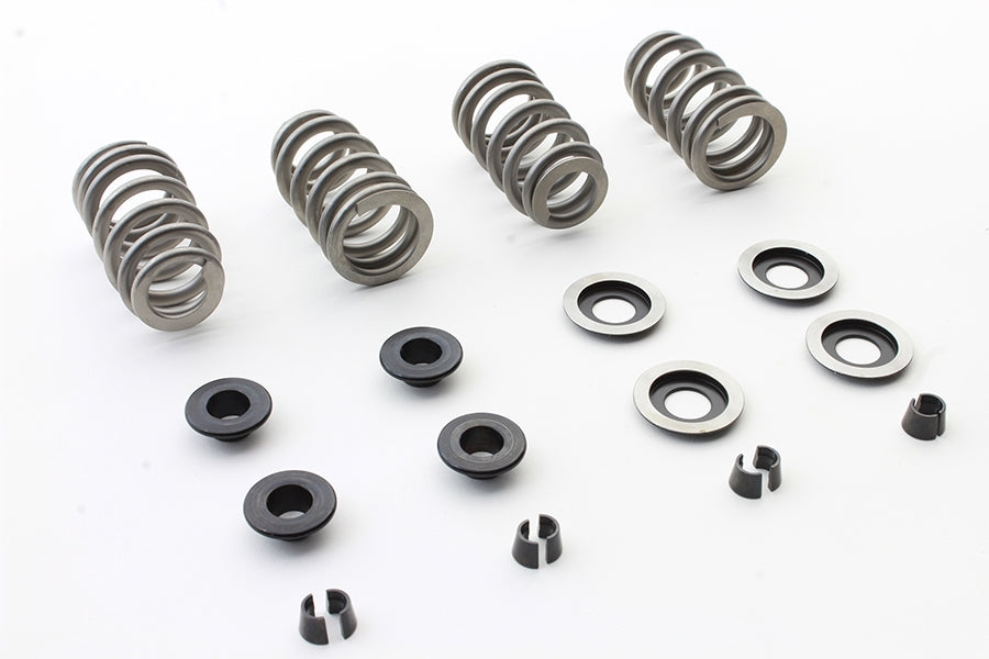 Beehive Valve Spring Kit