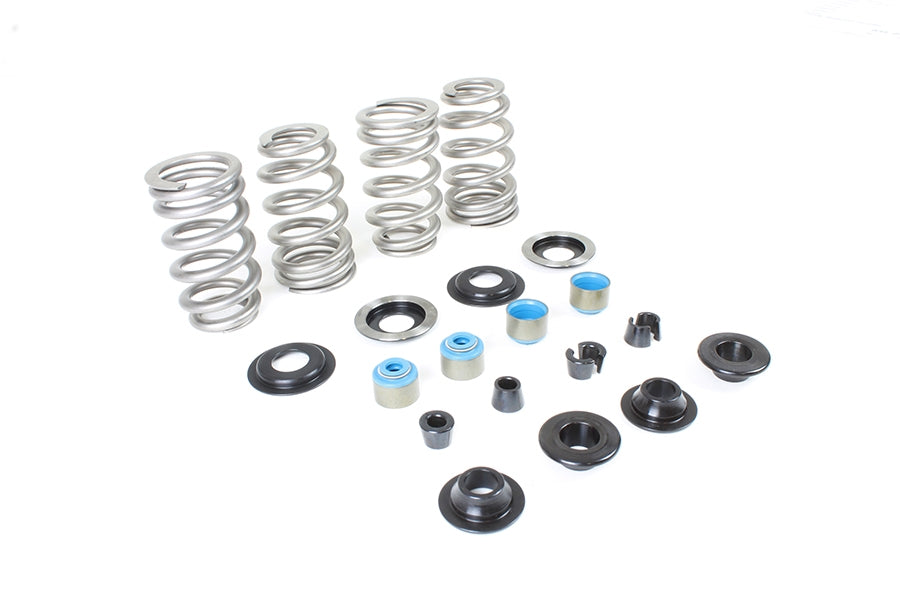 Beehive Valve Spring Kit