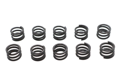 45 Solo Chain Guard Spring