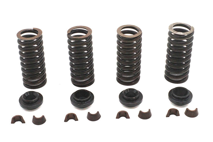 Valve Spring Kit