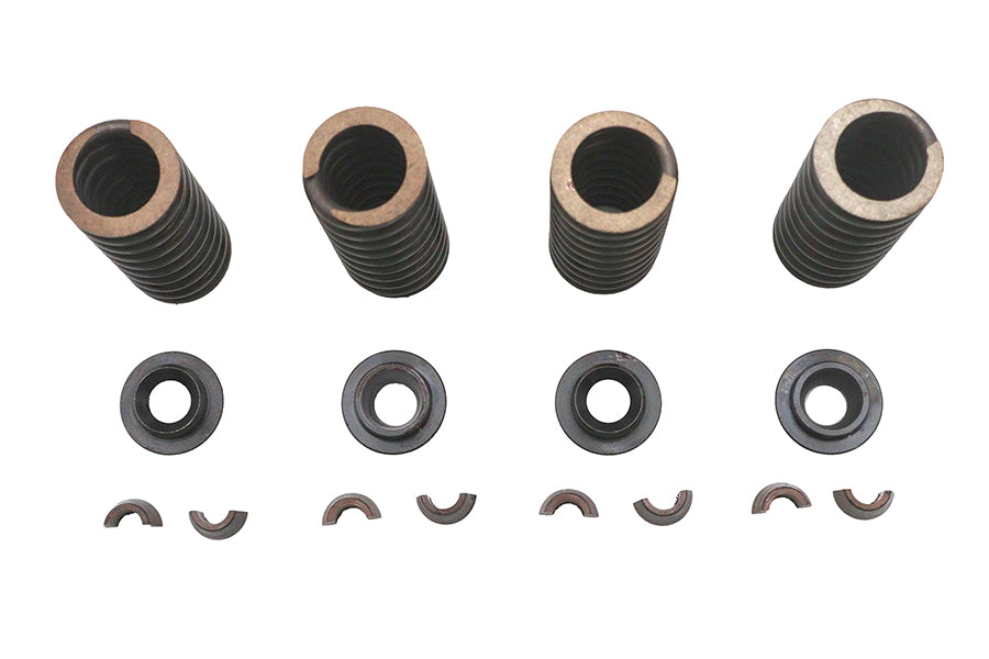 Valve Spring Kit
