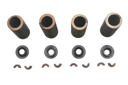 Valve Spring Kit