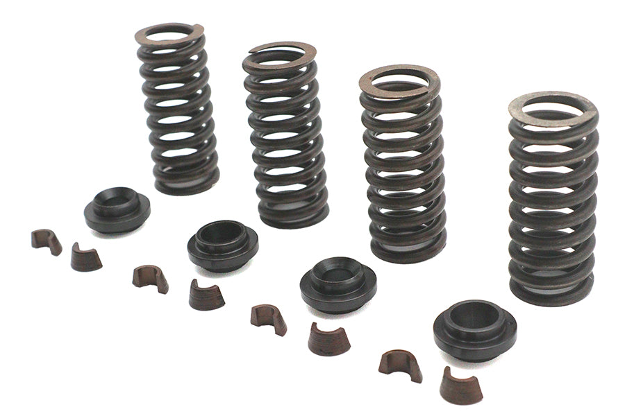 Valve Spring Kit