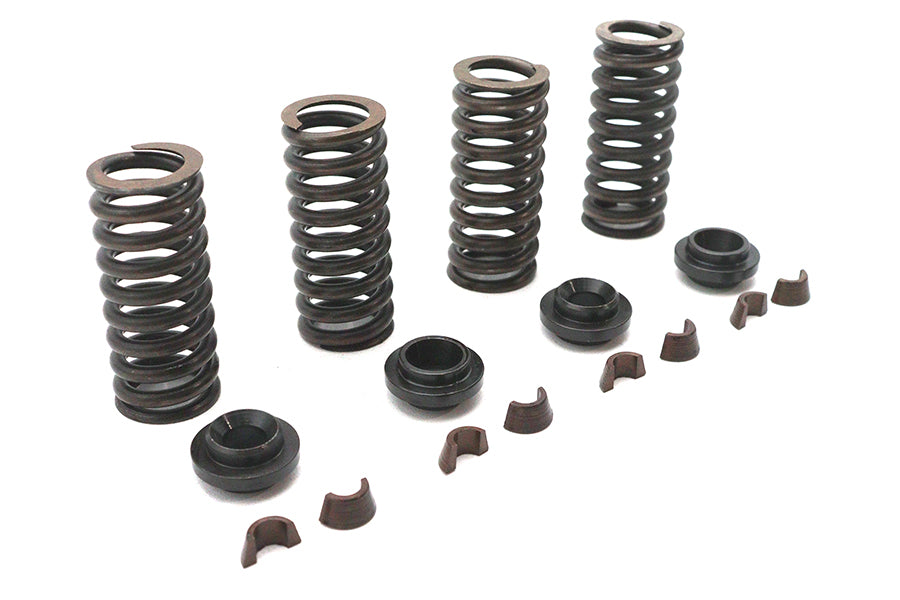 Valve Spring Kit