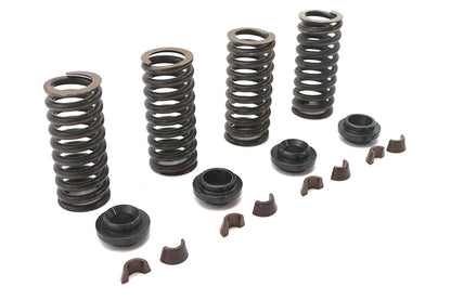 Valve Spring Kit
