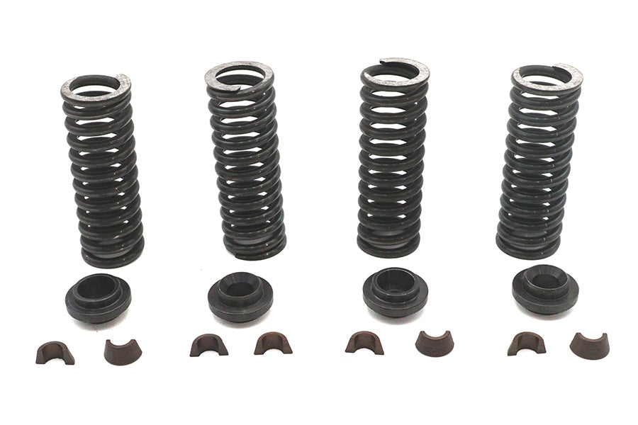 Valve Spring Kit