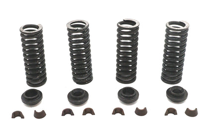 Valve Spring Kit