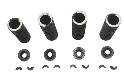 Valve Spring Kit