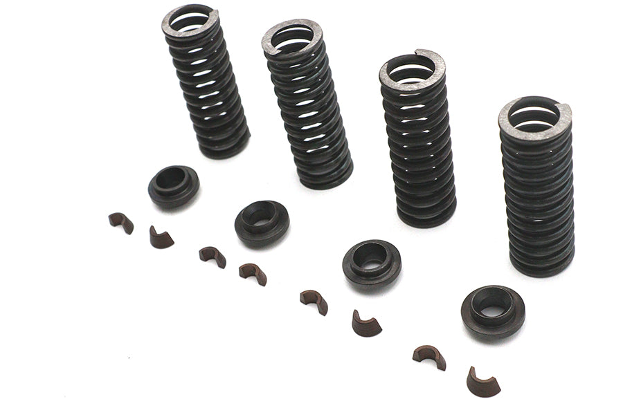 Valve Spring Kit