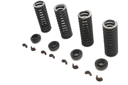 Valve Spring Kit