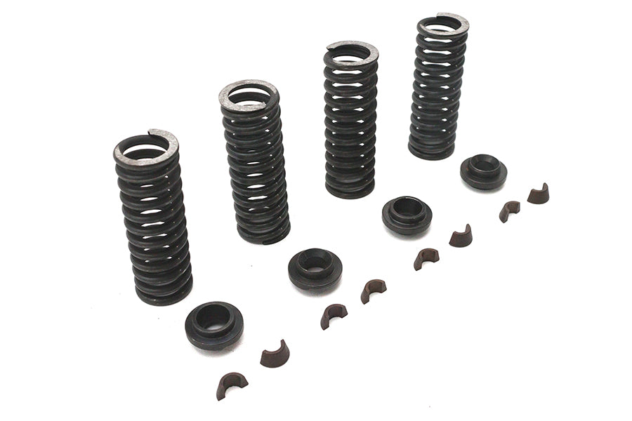 Valve Spring Kit