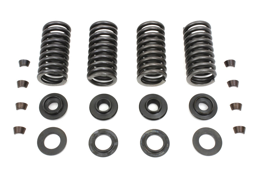 Valve Spring Kit