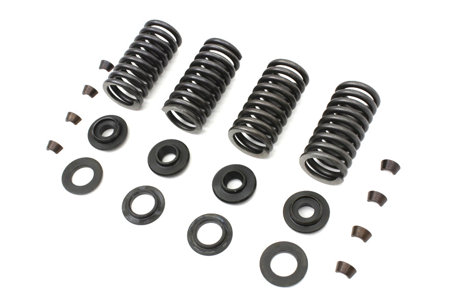 Valve Spring Kit