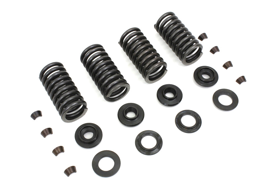 Valve Spring Kit
