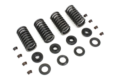 Valve Spring Kit