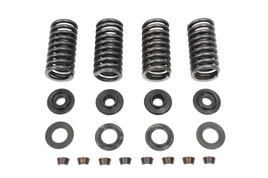 Valve Spring Kit