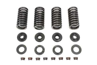 Valve Spring Kit
